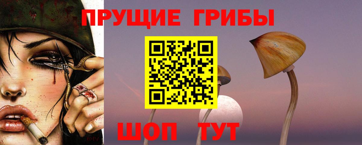 купить  цена  Галлюциногенные грибы MAGIC MUSHROOMS  Галлюциногенные грибы прущие грибы  Вход с VPN  Мелеуз 